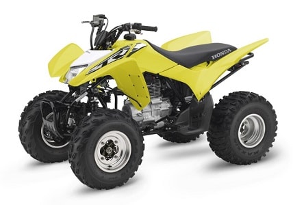 ATV_Honda_TRX250X
