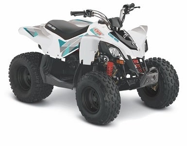 can-am ds90