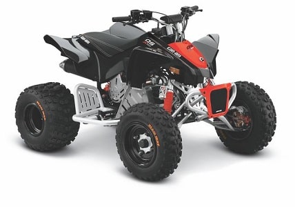 can-am ds90x