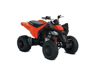 Can-Am DS 250 '20