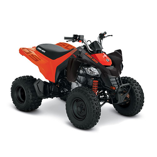 Can-Am DS 250 '21