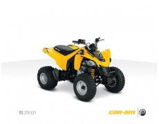 2011 Can-Am DS 250 ATV