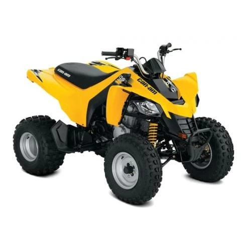 Can-Am DS 250 '17