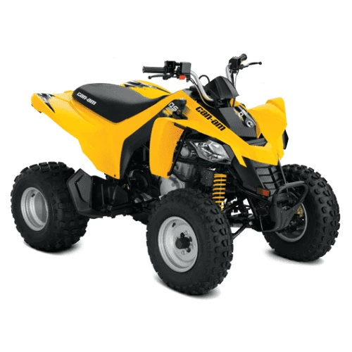 Can-Am DS 250 '18