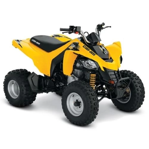 Can-Am DS 250 '19