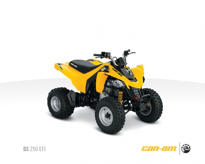 2011 Can-Am DS 250 ATV