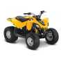 Can-Am DS 90 '16