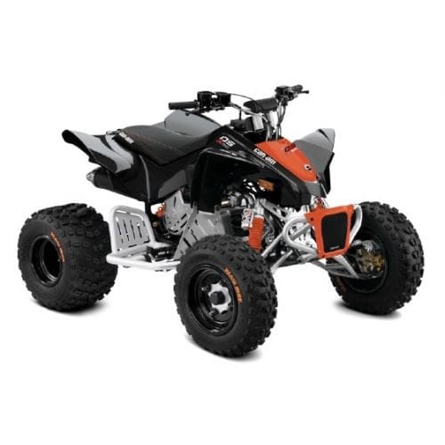 Can-Am DS 90 X '17