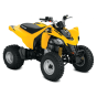 Can-Am DS 250 '18